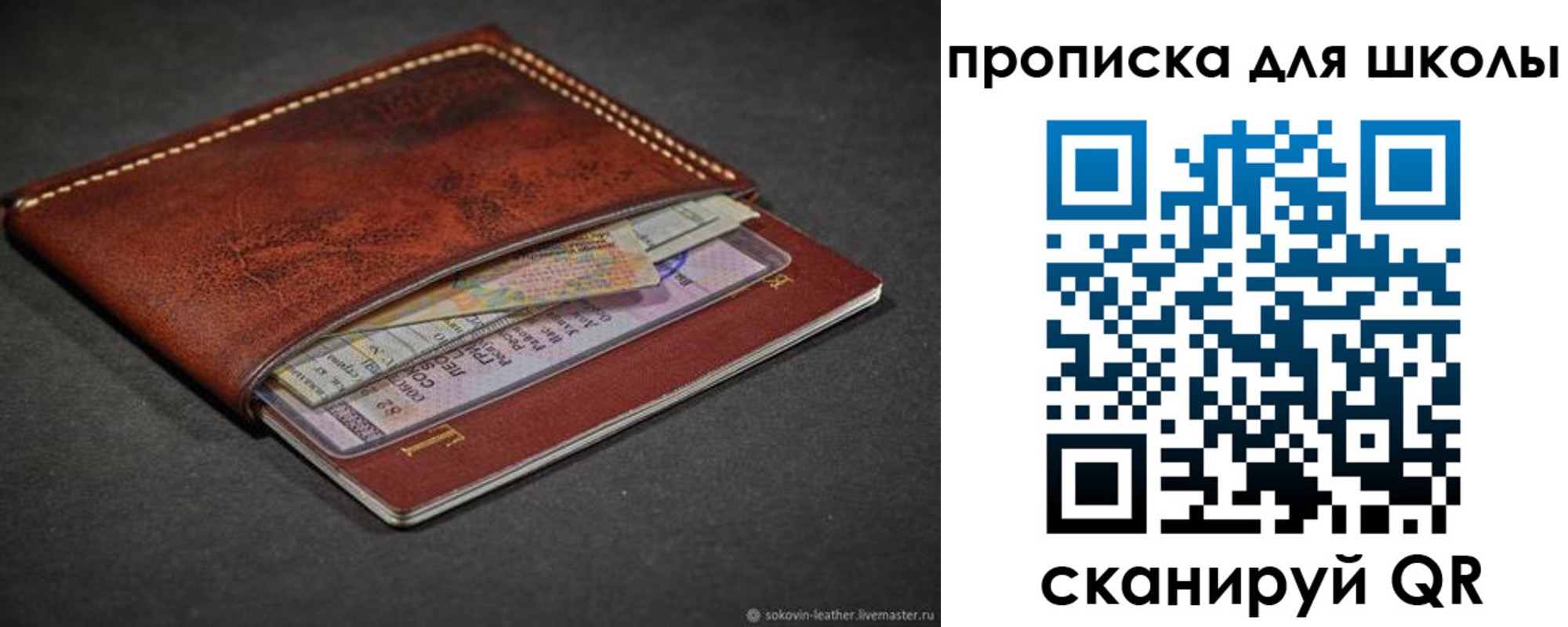прописка для школы в Волгоградской области